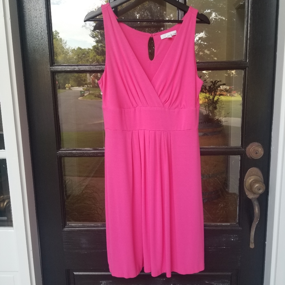 NWOT Lg pink sleeveless Knit dress by Lucy and Laurel